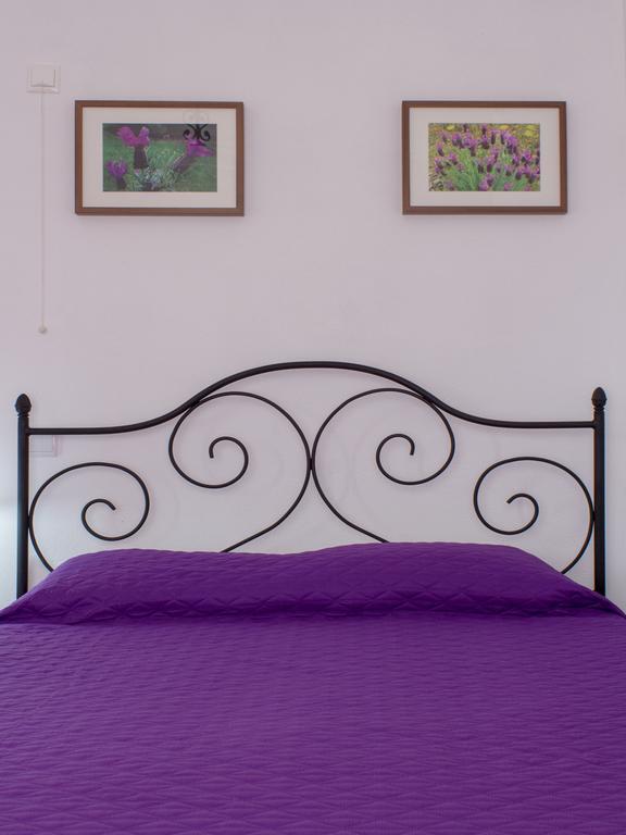 Quinta Da Fonte Do Lugar Pension Vera Cruz de Marmelar Kamer foto